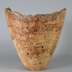 Elm Burl Vase