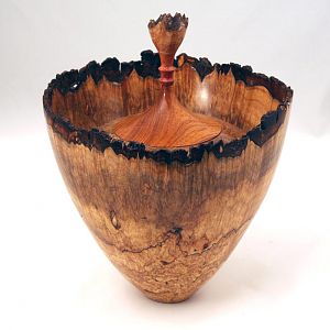 Maple Burl Hollow Form