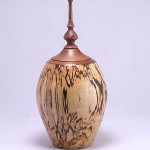 Spalted Birch Lidded Vessel