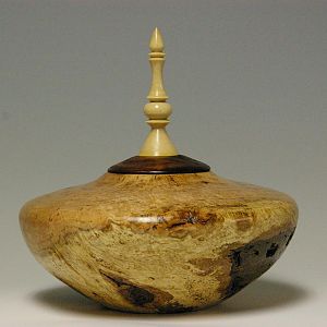 Cherry burl Hollow Form