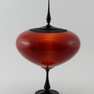 Ash Hollow form