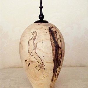 spalted hackberry