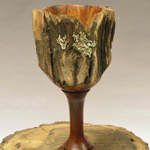 Natural Edge Manzanita Cup