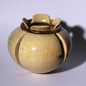 magnolia open with ring