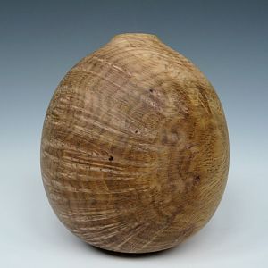 Burr oak hollow form