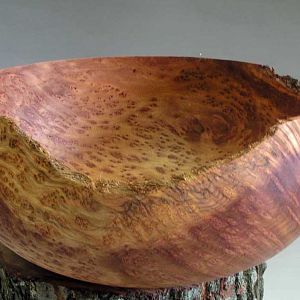 Redwood Burl Bowl