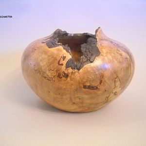 maple burl