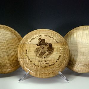 Turned Frisbee Discs for AWI/Quad 2012 Raffle.