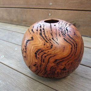 eucalpytus hollow vessel