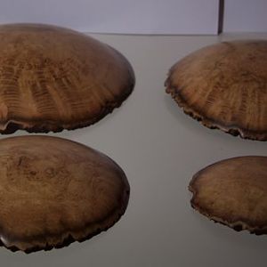 acacia burl