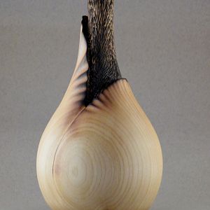 Tulip Hollow Form