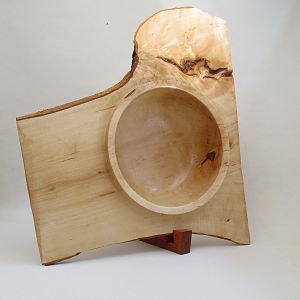 Winged NE Crotch Bowl