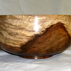 Beach burl