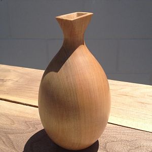 a better view of the vase