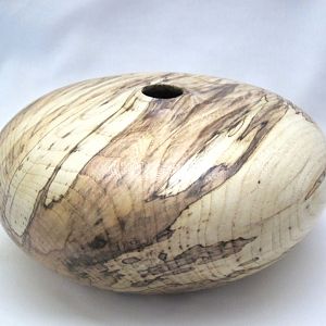 Bleached Spalted Elm Hollow Form