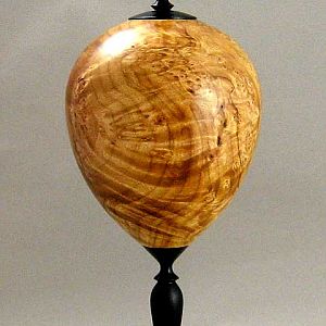 Maple Burl with Pedestal...