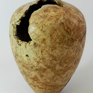 Maple Burl Hollowform