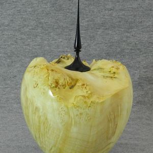 Small Maple burl hollowform