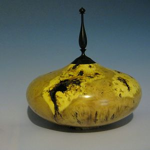 Locust burl