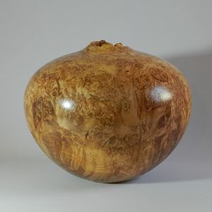 Maple Burl Hollowform