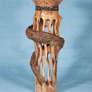 Regal Twist view1