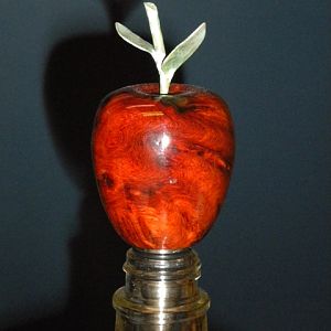 Teacher's Apple