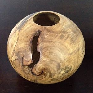 Spalted Silver Maple