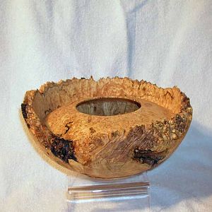 Spalted Maple Burl