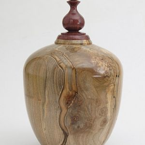 Ambrosia maple pet urn with katalox finial