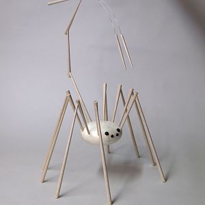 Arctic Cave Spider No. 001