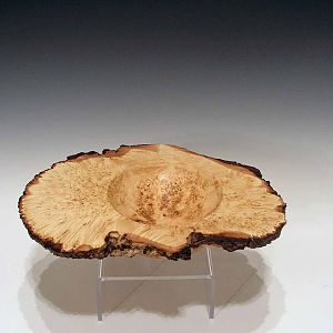 Winged_Maple_Burl_Top