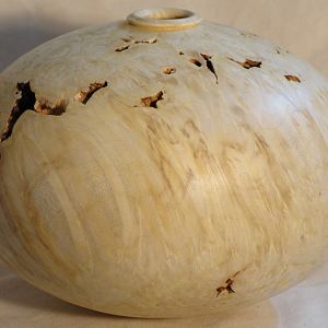 Bleached Maple Burl Hollow Form