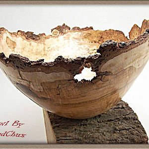 Cherry Burl