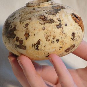 Small Burl Hollowform