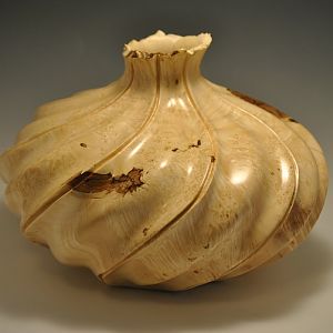 Box Elder Swirl