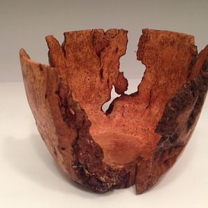 Black Cherry Burl