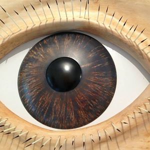 Close up of Masur Birch eye, commemorative project