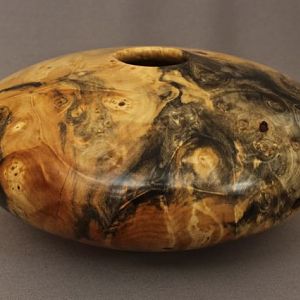 Buckeye Burl HF