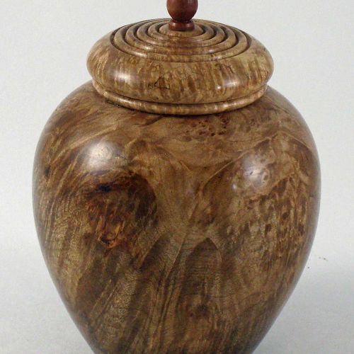 Small Jar of Myrtle Burl