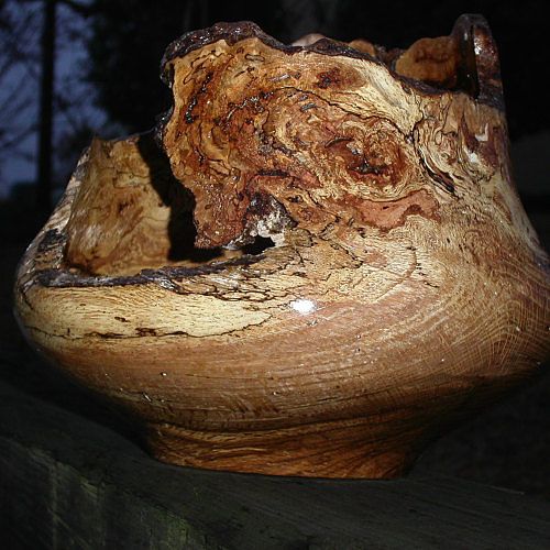 Oak Burl