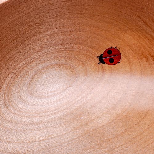Ladybug Inlay