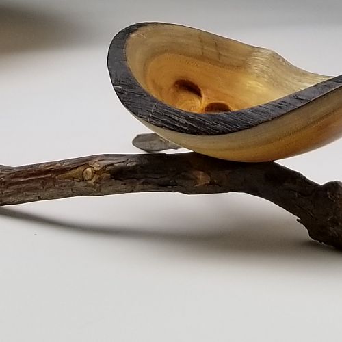 FerberBulb