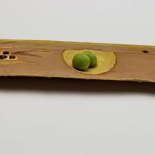 Ferber Sushi Tray