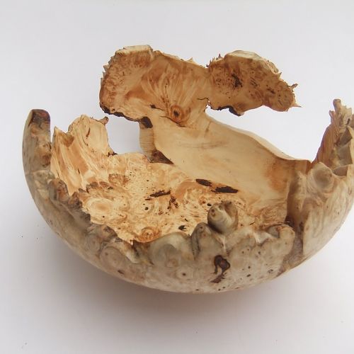 Chestnut Burr