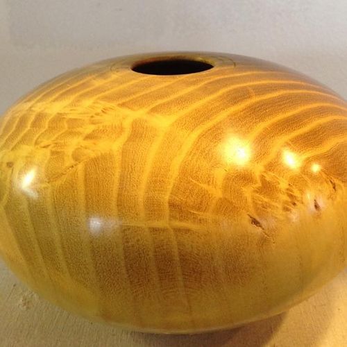 Black locust hollow form