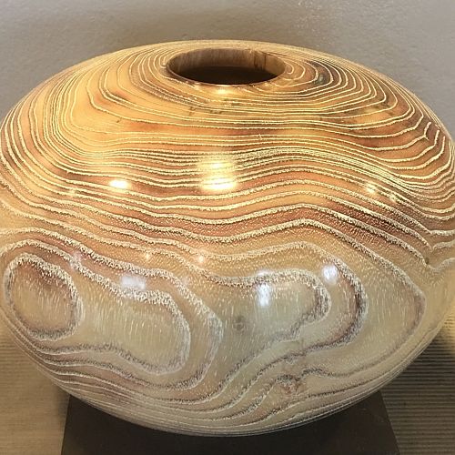 Black locust hollow form
