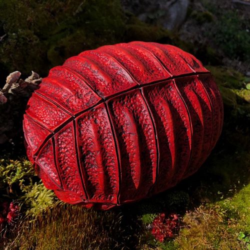 Dragon Egg