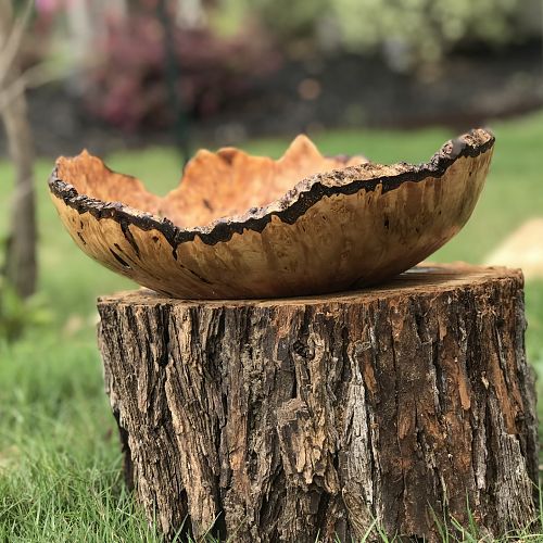 Natural Edge Maple Burl Bowl