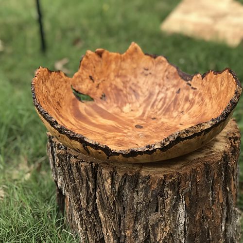 Natural Edge Maple Burl Bowl