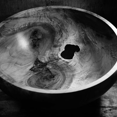 Poplar B & W